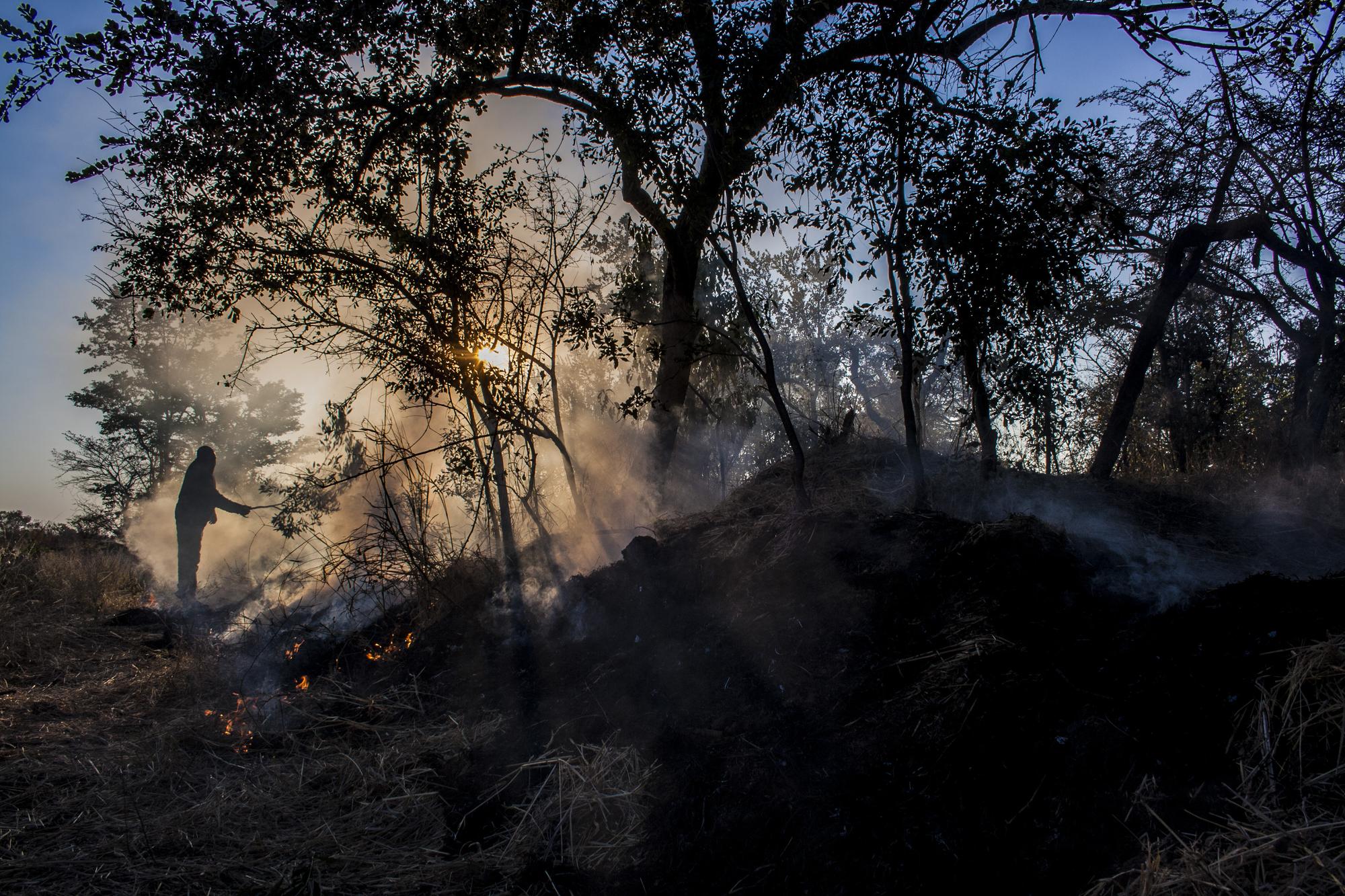 Wildfire smoke silhouetting trees at sunset — Roseville wildfire lawsuit lawyers