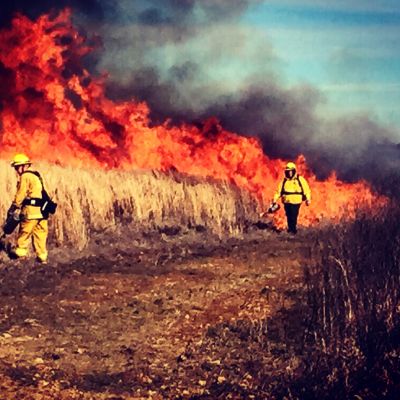 Wildfire Lawsuits Attorney San Diego CA - Gingery Hammer Schneiderman LLP