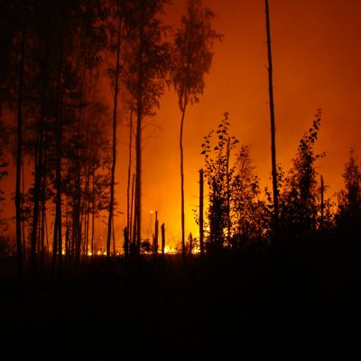 Wildfire Lawsuits Lawyer Roseville CA - Gingery Hammer Schneiderman LLP